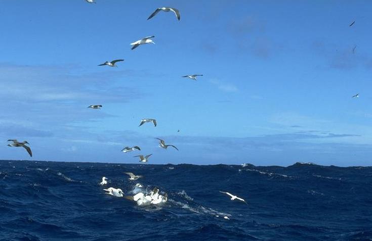 Image of Image03.jpg