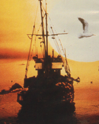 Image of richardbach.gif