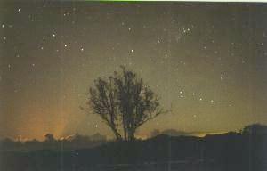 Image of scorpius.jpg