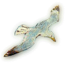 Image of seagull.gif